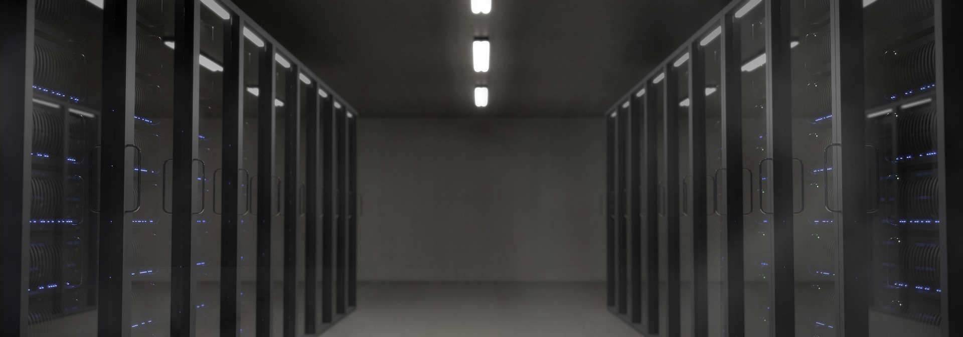 Banner 1